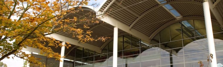 School of Management