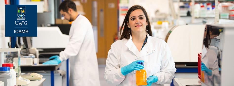 British Heart Foundation 4 Year PhD Scholarships British Heart Foundation 4 Year PhD Scholarships