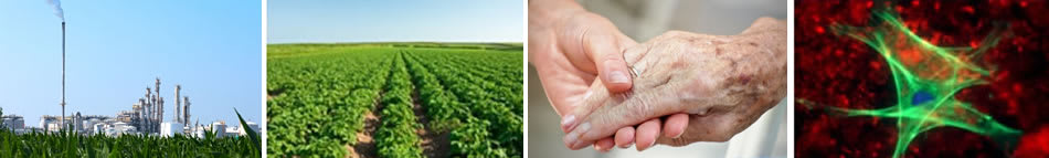 BBSRC EASTBIO Doctoral Training Partnership BBSRC EASTBIO Doctoral Training Partnership