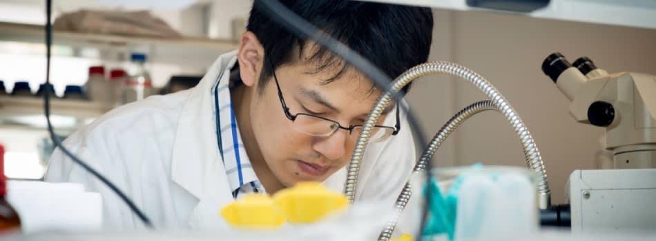 Findaphd Phd Biosciences And Bioinformatics At Xi An Jiaotong