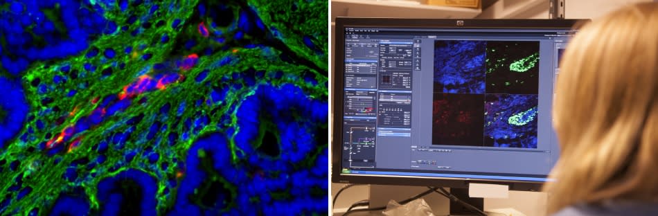 Four-year funded integrated PhDs in Translational Biomedical Sciences Four-year funded integrated PhDs in Translational Biomedical Sciences