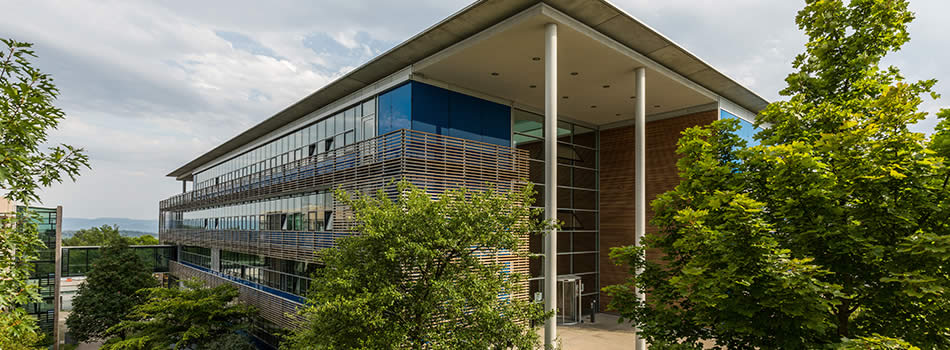 FindAPhD : International Max Planck Research School at The International Max  Planck Research School From Molecules to Organisms
