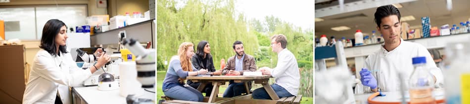 MRC Funding Doctoral Training Partnership