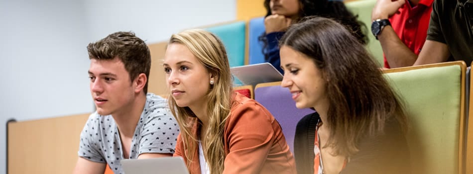 Rotterdam Business School Phd INFOLEARNERS