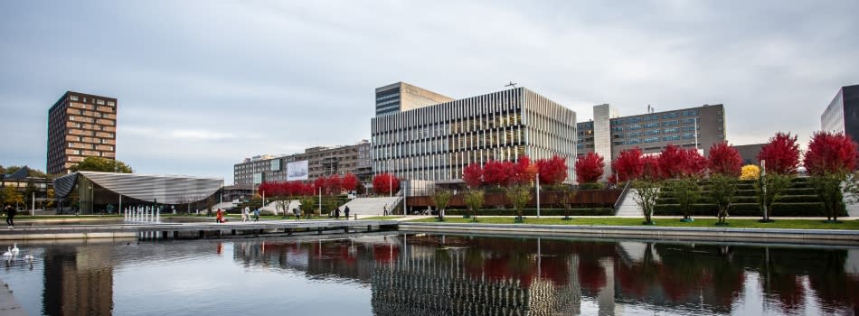 PhD Positions in Business and Management at Erasmus Research Institute of Management (ERIM), Erasmus University Rotterdam (EUR) PhD Positions in Business and Management at Erasmus Research Institute of Management (ERIM), Erasmus University Rotterdam (EUR)