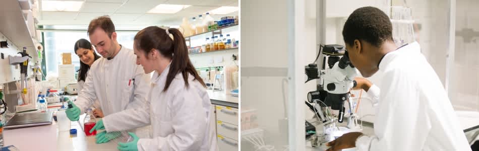 Midlands Integrative Biosciences Training Partnership (MIBTP) Funded PhD Studentships Midlands Integrative Biosciences Training Partnership (MIBTP) Funded PhD Studentships