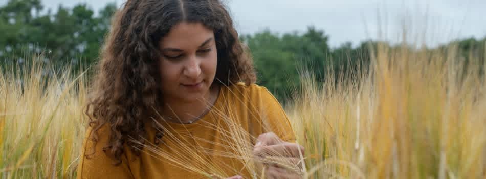 Midlands Integrative Biosciences Training Partnership (MIBTP) Funded PhD Studentships Midlands Integrative Biosciences Training Partnership (MIBTP) Funded PhD Studentships