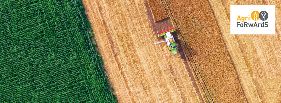 EPSRC Centre for Doctoral Training in Agri-Food Robotics: AgriFoRwArdS EPSRC Centre for Doctoral Training in Agri-Food Robotics: AgriFoRwArdS