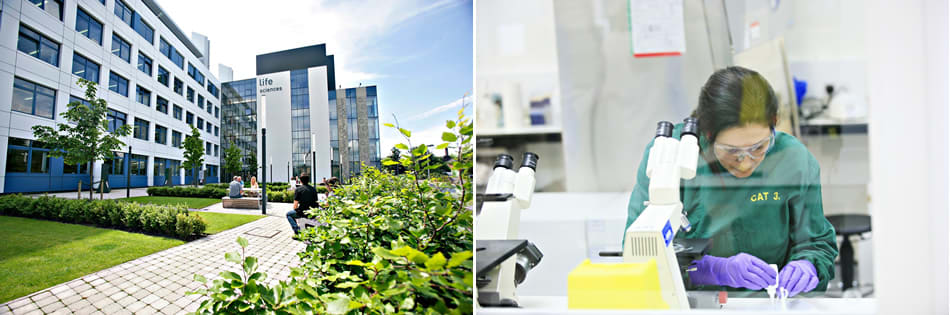 Wellcome Trust Integrated Molecular, Cellular and Translational Biology PhD Training Programme Wellcome Trust Integrated Molecular, Cellular and Translational Biology PhD Training Programme