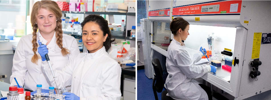 MRC four-year PhD programme in Human Genetics, Genomics and Disease at  University of Edinburgh - FindAPhD
