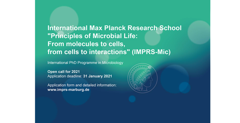 International Max Planck Research School for Environmental, Cellular, and Molecular Microbiology (IMPRS-Mic) International Max Planck Research School for Environmental, Cellular, and Molecular Microbiology (IMPRS-Mic)