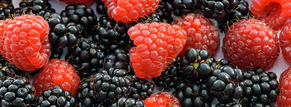 Blackberries and Raspberries Blackberries and Raspberries