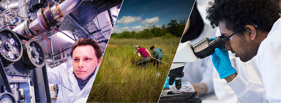 Doctoral College, explore our PhD opportunities across our research centres Doctoral College, explore our PhD opportunities across our research centres
