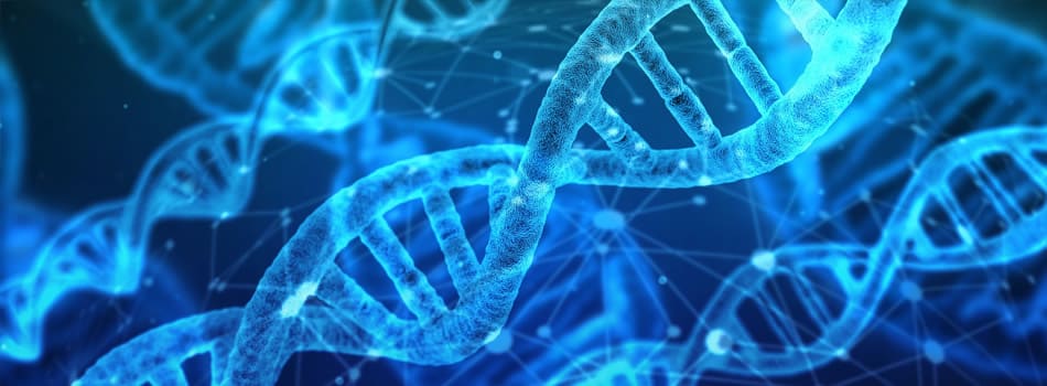 Department of Life Sciences - PhD applicant mentoring scheme (Enhance) Department of Life Sciences - PhD applicant mentoring scheme (Enhance)