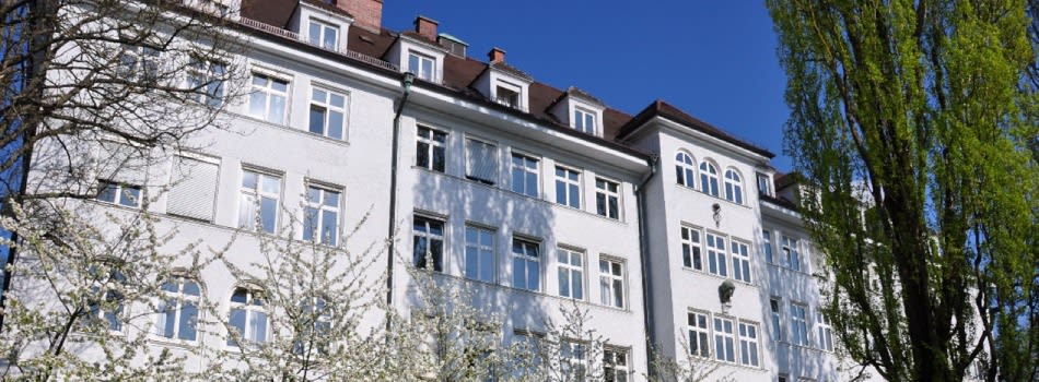 Fully funded (no tuition) PhD program in psychiatric, translational research and basic Neuroscience with the option for a residency track for medical doctors. Fully funded (no tuition) PhD program in psychiatric, translational research and basic Neuroscience with the option for a residency track for medical doctors.
