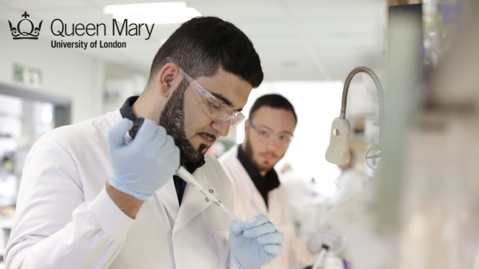 research jobs queen mary