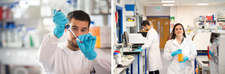 MVLS Doctoral Training Programme Studentships 2022