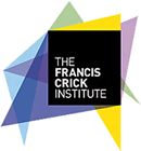 PhD Programme, The Francis Crick Institute