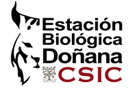 PhD Opportunities, Doñana Biological Station (EBD-CSIC)