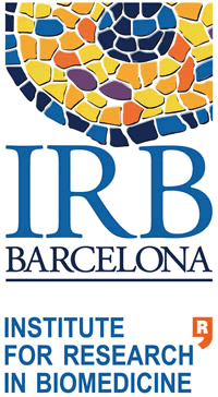 PhD Opportunities, IRB Barcelona