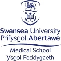 Institution profile for Swansea University