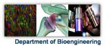 Bioengineering Logo