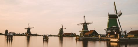 phd programs in the netherlands