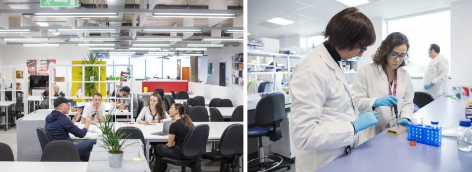 University of Plymouth