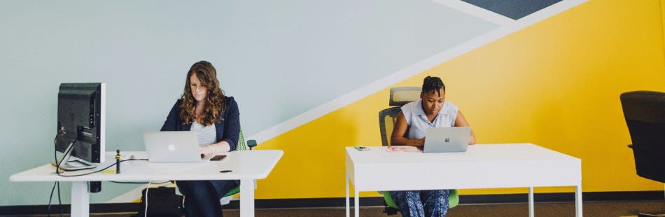 People studying at desks