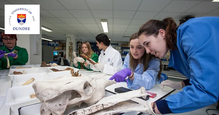 EPSRC Funded PhD Studentships in Interdisciplinary Physical, Computational, Mathematical and Engineering Sciences