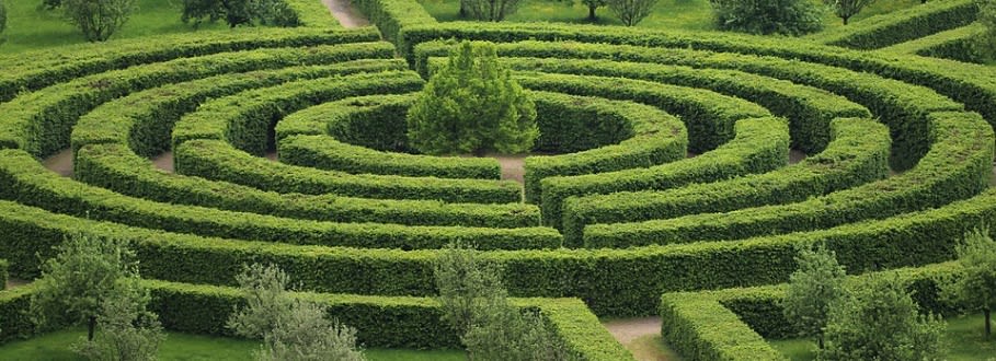 Photograph of a circular hedge maze