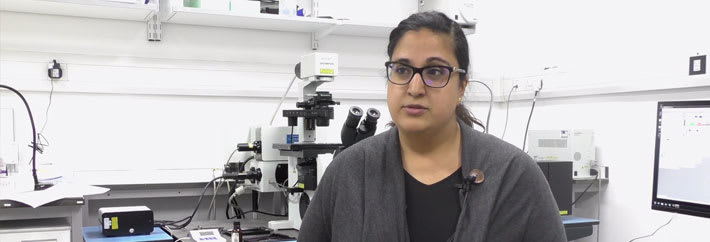 PhD Inspiration - Boo Virk, The Babraham Institute