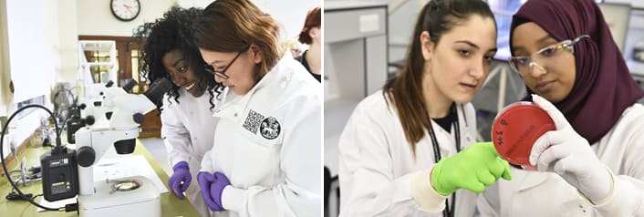MRF AMR PhD Studentship