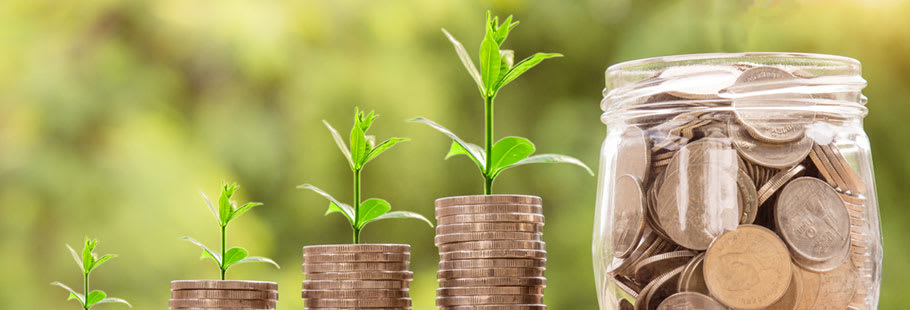 Selection of plants on top of towers of coin leading up to a money jar