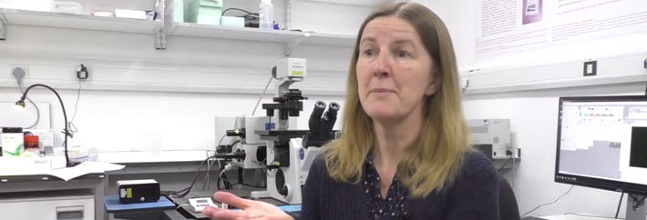PhD Inspiration - Dr Anne Corcoran, The Babraham Institute