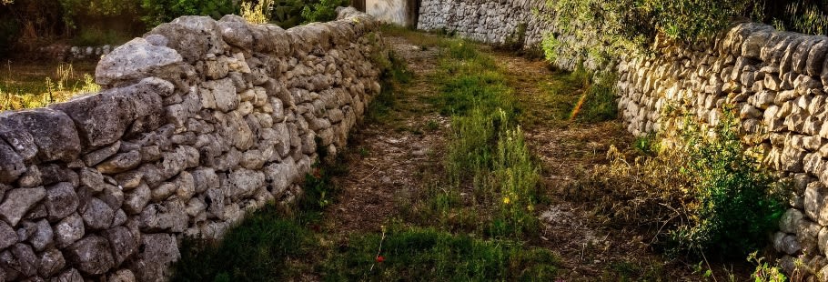 A grassy path with a rough stone wall on both sides