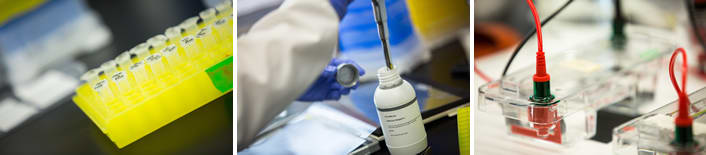 Infection Immunology and Translational Medicine
