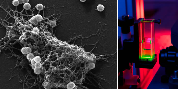 The EPSRC and MRC Centre for Doctoral Training in Optical Medical Imaging The EPSRC and MRC Centre for Doctoral Training in Optical Medical Imaging