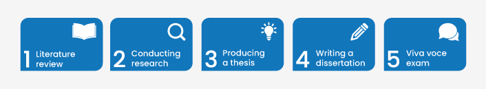 The different stages of a PhD