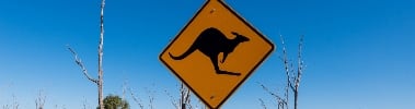 Australia kangaroo sign Australia kangaroo sign