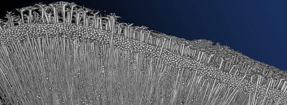 Technical University Dresden Open Day