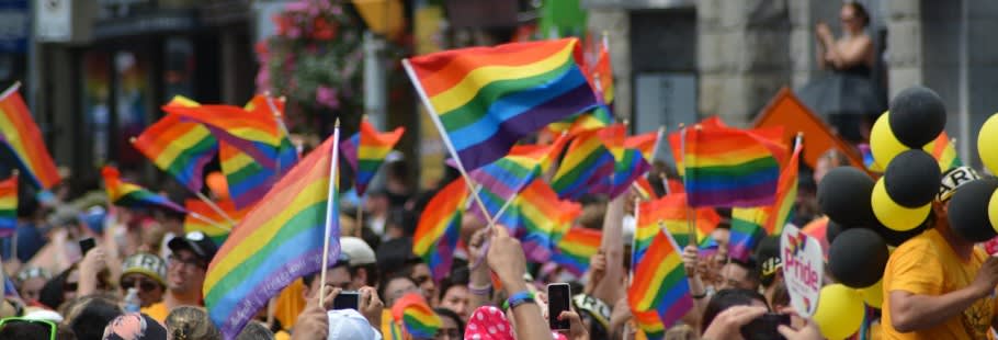 Crowd holding up rainbow flags